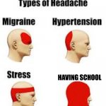 The stress chart of life | HAVING SCHOOL | image tagged in stress chart | made w/ Imgflip meme maker