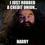 You're a wizard harry | I JUST ROBBED A CREDIT UNION... HARRY | image tagged in you're a wizard harry | made w/ Imgflip meme maker