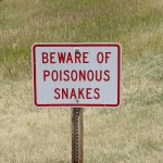 Beware of poisonous snakes template