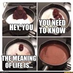 Melting gorilla | HEY, YOU; YOU NEED TO KNOW; THE MEANING OF LIFE IS... | image tagged in melting gorilla | made w/ Imgflip meme maker