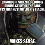 Ganondorf | GANONDORF SNEEZED SO LOUDLY DURING STUDY OF THE DARK ARTS THAT HE STARTLED HIS TEACHER. MAKES SENSE. | image tagged in ganondorf | made w/ Imgflip meme maker