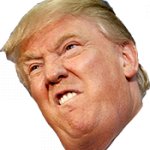 Trump head