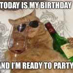Party time | TODAY IS MY BIRTHDAY; AND I’M READY TO PARTY! | image tagged in wine cat birthday | made w/ Imgflip meme maker