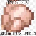 Raw chicken | IT’S A CHICKEN; WHEN IT SEES A CRINGE MEME | image tagged in raw chicken,cringe | made w/ Imgflip meme maker