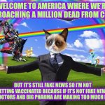 Welcome to the Internet | WELCOME TO AMERICA WHERE WE’RE APPROACHING A MILLION DEAD FROM COVID; BUT IT’S STILL FAKE NEWS SO I’M NOT GETTING VACCINATED BECAUSE IF IT’S NOT FAKE NEWS THE DOCTORS AND BIG PHARMA ARE MAKING TOO MUCH MONEY | image tagged in welcome to the internet,covid,sarcasm,memes,funny,vaccines | made w/ Imgflip meme maker