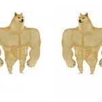 Two Buff doges template