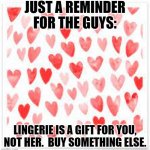 Ping Hearts | JUST A REMINDER FOR THE GUYS:; LINGERIE IS A GIFT FOR YOU, NOT HER.  BUY SOMETHING ELSE. | image tagged in ping hearts | made w/ Imgflip meme maker