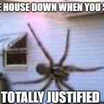 GIANT spider | BURN THE HOUSE DOWN WHEN YOU SEE THIS? TOTALLY JUSTIFIED | image tagged in giant spider | made w/ Imgflip meme maker