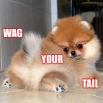 When Life Gets You Down | WAG; YOUR; TAIL | image tagged in dog butt,memes,wag your tail,puppy style,don't worry be happy,everything's gonna be alright | made w/ Imgflip meme maker