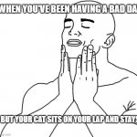 Finally | WHEN YOU'VE BEEN HAVING A BAD DAY BUT YOUR CAT SITS ON YOUR LAP AND STAYS | image tagged in feels good man,funny,memes | made w/ Imgflip meme maker