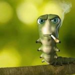 Caterpillar smoking
