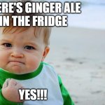 Ginger Ale | THERE'S GINGER ALE
 IN THE FRIDGE YES!!! | image tagged in baby fist pump | made w/ Imgflip meme maker