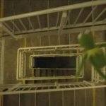 Kermit falling down stairs meme