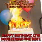 Birthday cake on fire | MAYBE AFTER A "CERTAIN AGE", WE SHOULD FOREGO THE CANDLES! HAPPY BIRTHDAY, LYN!
HOPE IT WAS THE BEST. | image tagged in birthday cake on fire | made w/ Imgflip meme maker