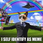 Welcome to the Internet | I SELF IDENTIFY AS MEME | image tagged in welcome to the internet | made w/ Imgflip meme maker
