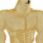 bodybuilder dogo template