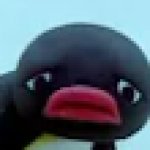 Sad Pingu