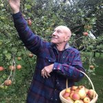 Patrick Stewart picking apples