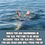 drowning | WHEN YOU ARE DROWNING IN THE SEA, PRETEND TO BE DEAD BECAUSE THEN THE SEA WILL THINK YOU ARE DEAD AND WILL PUSH YOU UP | image tagged in drowning | made w/ Imgflip meme maker