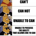Winnie the Pooh v.21 | CAN'T; CAN NOT; UNABLE TO CAN; UNABLE TO POSSESS THE ABILITY THAT ALLOWS ONE TO CAN | image tagged in winnie the pooh v 21 | made w/ Imgflip meme maker