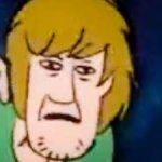 shaggy wtf face meme