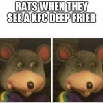 *proceeds to jump in* | RATS WHEN THEY SEE A KFC DEEP FRIER | image tagged in chuck e cheese rat stare | made w/ Imgflip meme maker