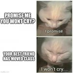 ;-; | PROMISE ME YOU WONT CRY? YOUR BEST FRIEND HAS MOVED CLASS | image tagged in i promise i won't cry | made w/ Imgflip meme maker
