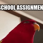 e | OH A SCHOOL ASSIGNMENT COOL; ITS DUE TOMARROW | image tagged in gifs,school,assignment | made w/ Imgflip video-to-gif maker
