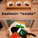 Kashmir conflict in a nutshell | Kashmir: *exists* | image tagged in cats fighting for food,kashmir,india,pakistan,china,politics | made w/ Imgflip meme maker