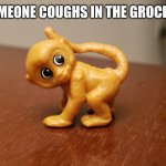 Funky Munky | WHEN SOMEONE COUGHS IN THE GROCERY STORE | image tagged in funky munky | made w/ Imgflip meme maker
