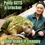 What does the 9-pound parrot say? | Polly GETS a cracker; and make it snappy | image tagged in 9 pound parrot,bird,parrot,cute,feed me | made w/ Imgflip meme maker