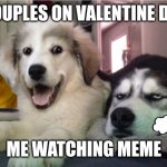 Knock, knock, dogs single panel | COUPLES ON VALENTINE DAY; ME WATCHING MEME | image tagged in knock knock dogs single panel | made w/ Imgflip meme maker