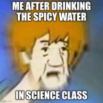 Dank Shaggy | ME AFTER DRINKING THE SPICY WATER; IN SCIENCE CLASS | image tagged in shaggy dank meme | made w/ Imgflip meme maker