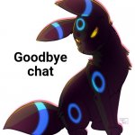 Goodbye chat