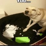 the dog ate my homework
