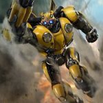 Bumblebee meme