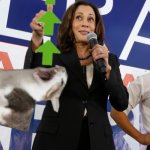 Kamala Harris cat upvote