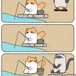 Cat fishing and stealing | ROSALIND FRANKLIN; ROSALIND FRANKLIN; WATSON & CRICK; ROSALIND FRANKLIN | image tagged in cat fishing and stealing,science,dna | made w/ Imgflip meme maker