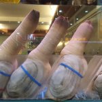 Geoduck Clams