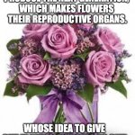 purple flowers | PLANTS RELY ON FLOWERS TO 
PRODUCE THE NEXT GENERATION, 
WHICH MAKES FLOWERS 
THEIR REPRODUCTIVE ORGANS. WHOSE IDEA TO GIVE CUT PLANTS GENITOALS AS GIFT | image tagged in flowers,memes | made w/ Imgflip meme maker