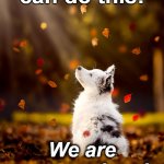 Yay!!  It's Friday!!! | I know we can do this! We are prepared and have resources! | image tagged in yay it's friday | made w/ Imgflip meme maker