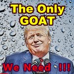 The GOAT for AMERICA