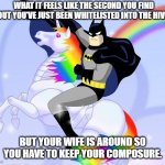 batman dream | WHAT IT FEELS LIKE THE SECOND YOU FIND OUT YOU'VE JUST BEEN WHITELISTED INTO THE HIVE BUT YOUR WIFE IS AROUND SO YOU HAVE TO KEEP YOUR COMPO | image tagged in batman dream | made w/ Imgflip meme maker