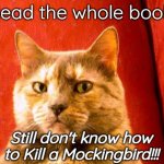 Suspicious Cat Meme | Read the whole book. Still don't know how to Kill a Mockingbird!!! | image tagged in memes,suspicious cat | made w/ Imgflip meme maker