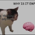 help | me thinking of anything | image tagged in why is it empty | made w/ Imgflip meme maker