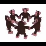 monke spin meme