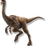 Gallimimus meme