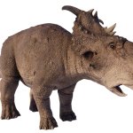 Pachyrhinosaurus (JWE Design)