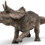 Baby Triceratops