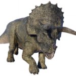 Triceratops
